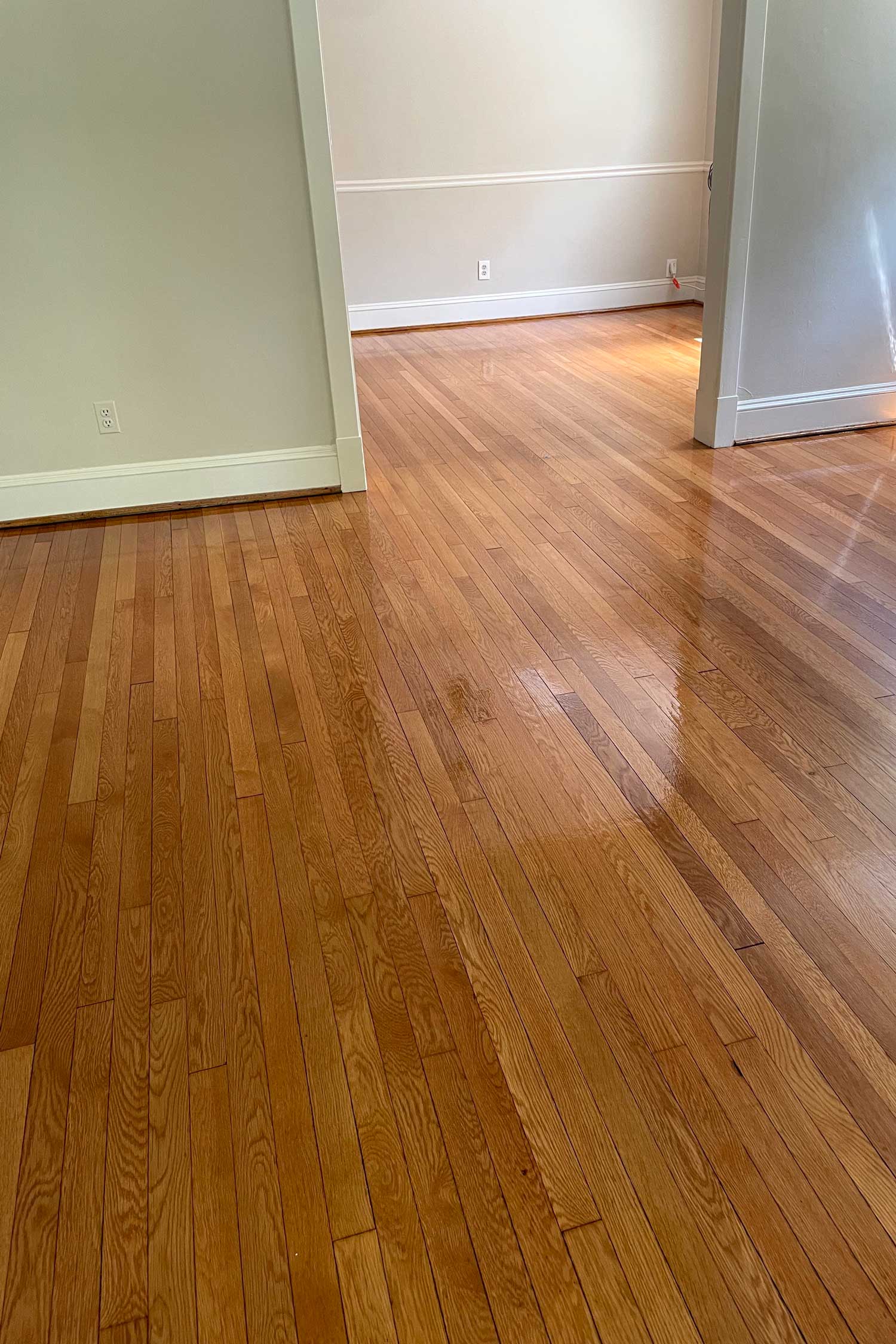Red oak hardwood floor after a full sand-and-refinish by Buff & Coat Virginia